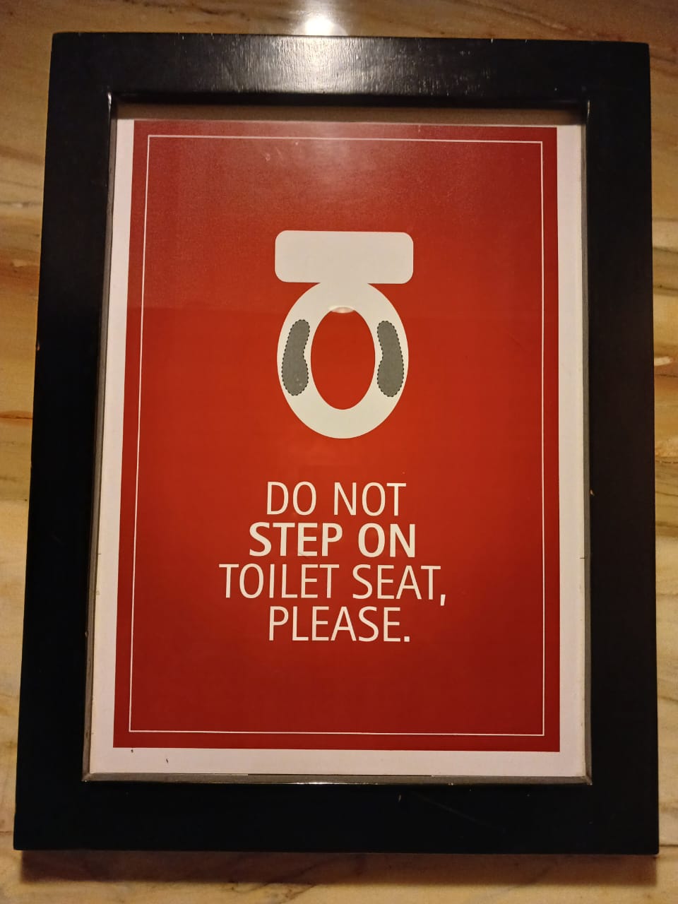 DO NOT STEP ON THE TOILET SEAT, PLEASE